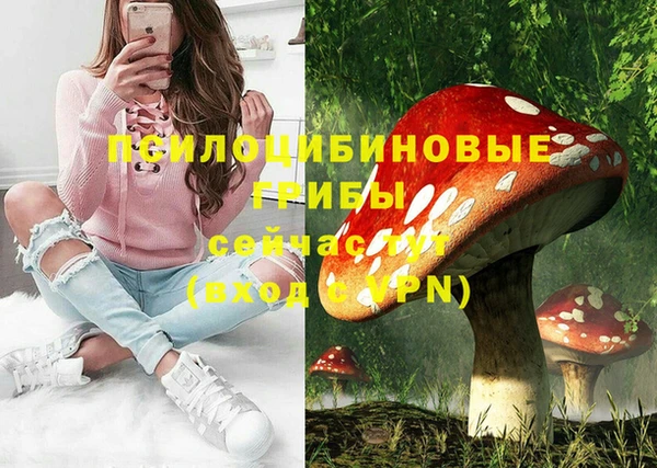 ECSTASY Карталы