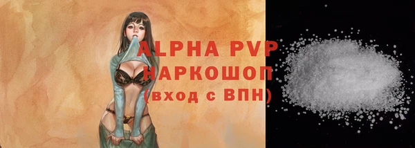 ECSTASY Карталы