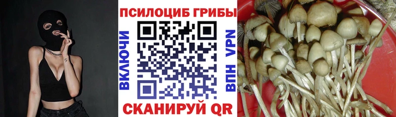 Галлюциногенные грибы MAGIC MUSHROOMS  shop официальный сайт  Чулым 